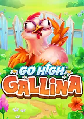Go High Gallina